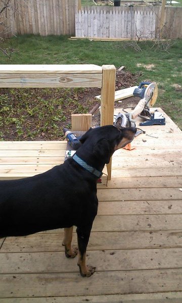 2013-04-20 11.49.49.jpg