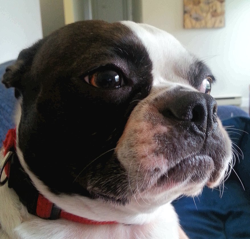 2013-05-09 13.12.24.jpg