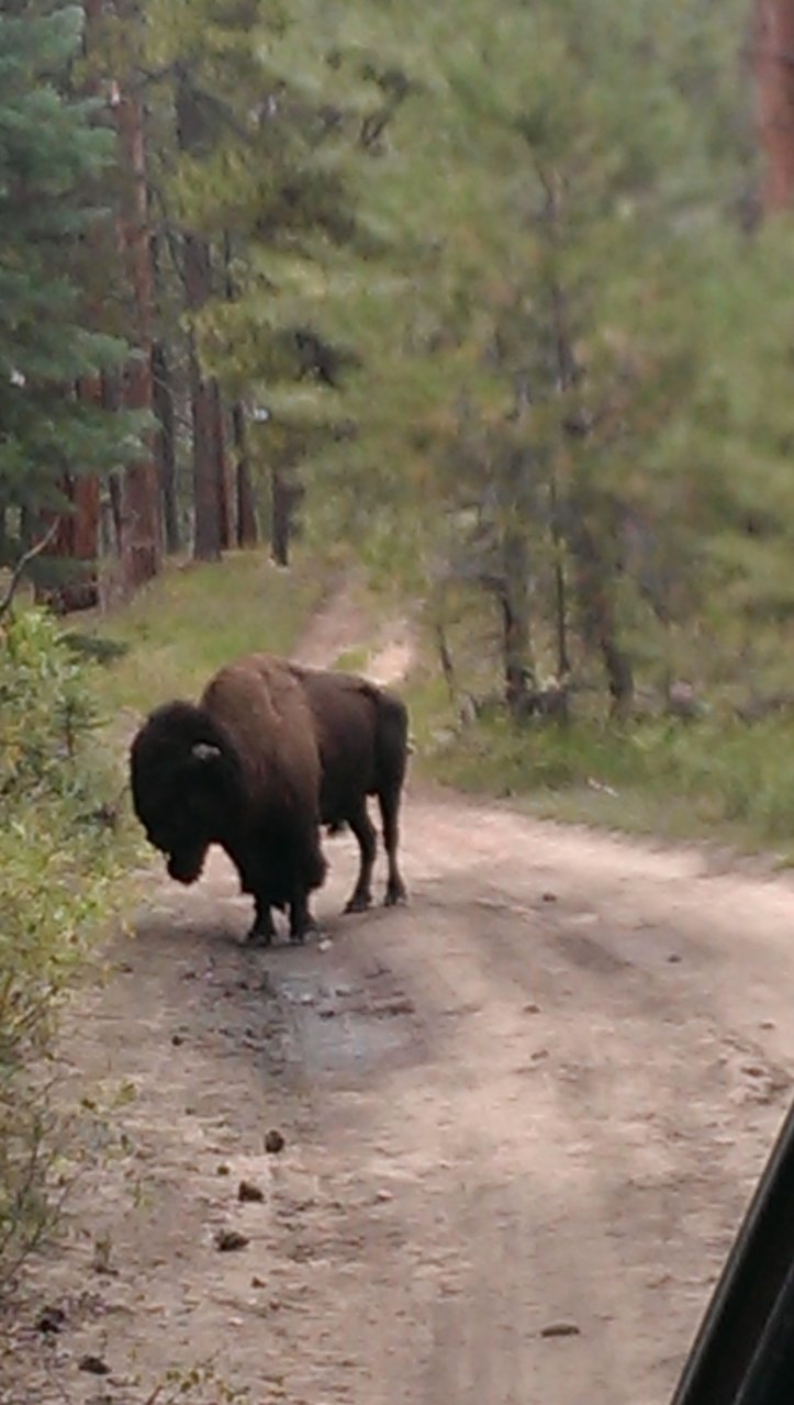 2013-08-24 14.59.17.jpg