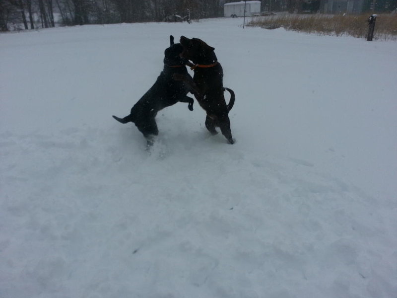 2013-12-06 08.57.28.jpg
