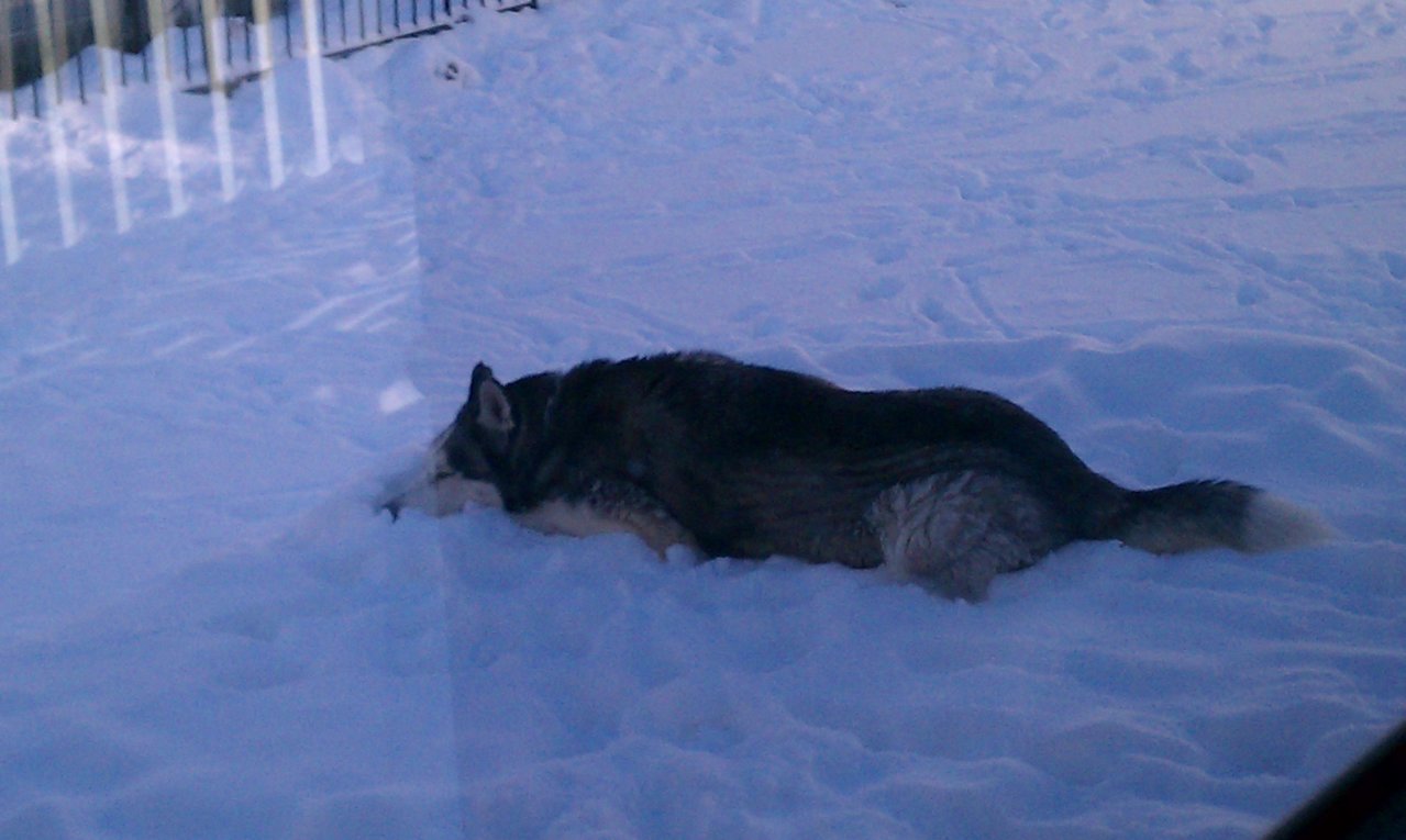 2013-12-10 10.52.40.jpg