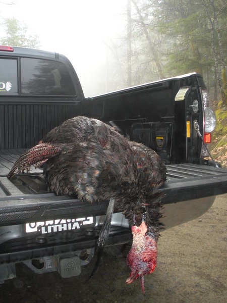 2013 Dad 2nd Bird 014.jpg