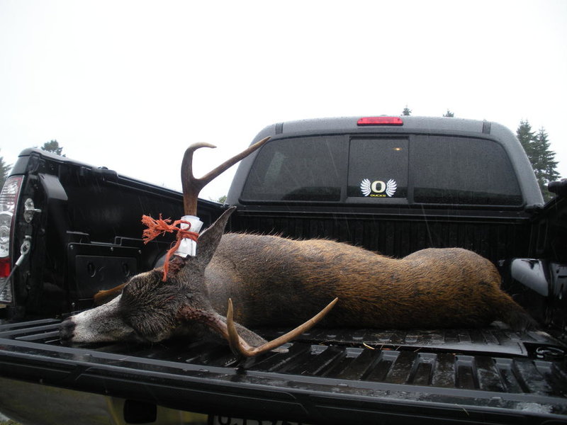 2013 Humboldt Buck 017.jpg