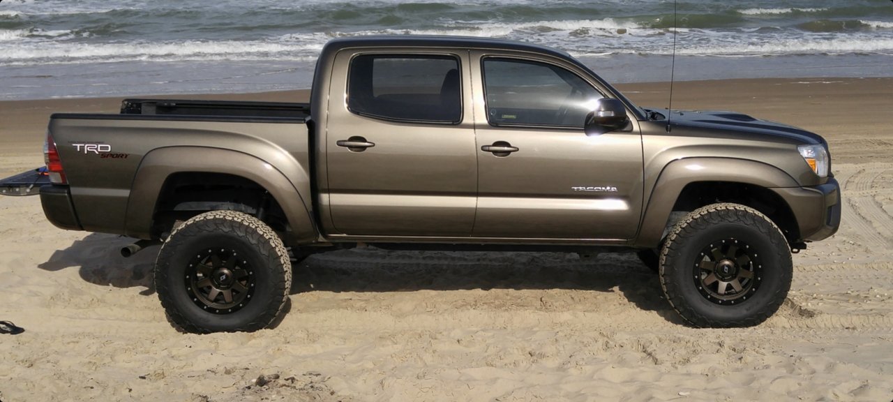 2013 Taco 4.jpg
