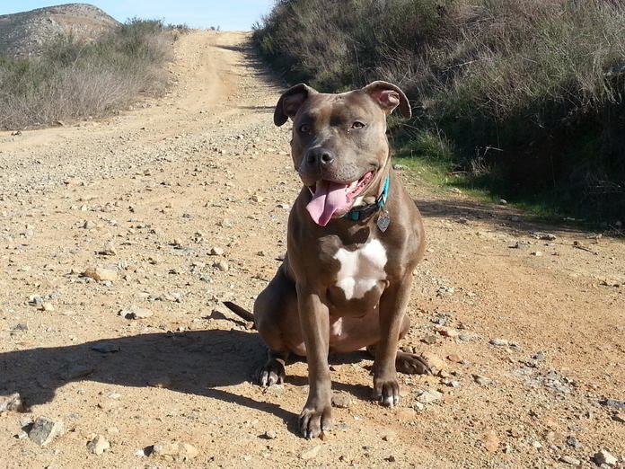 20130214_142334.jpg