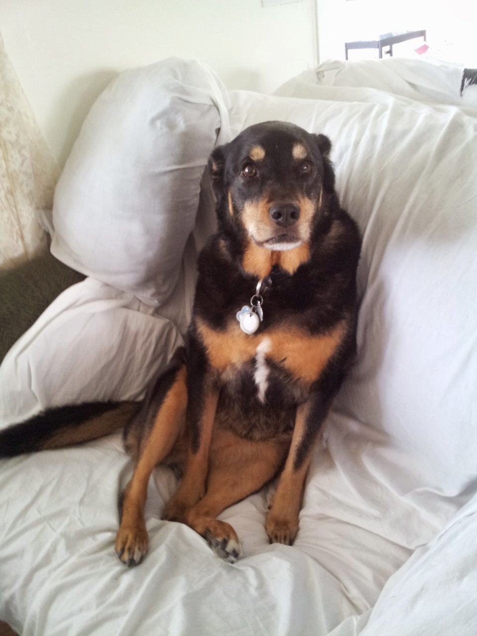 20130321_093113.jpg