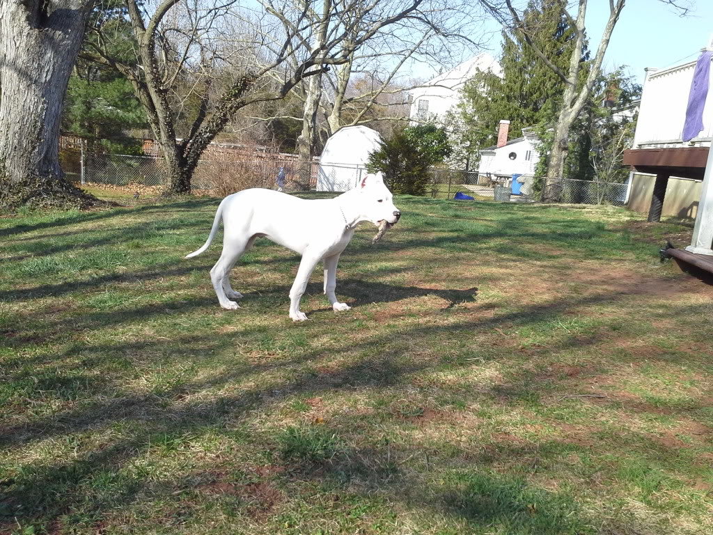 20130405_163959_zps7340fd51_ded9c7b7aff526f344289fcffcd46d9e83acc2e6.jpg
