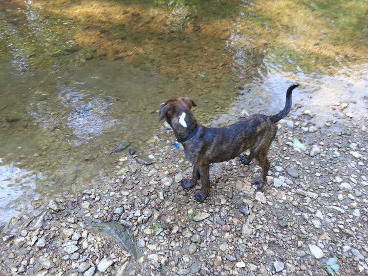 20130526_171438.jpg