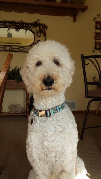 20130613_173059.jpg