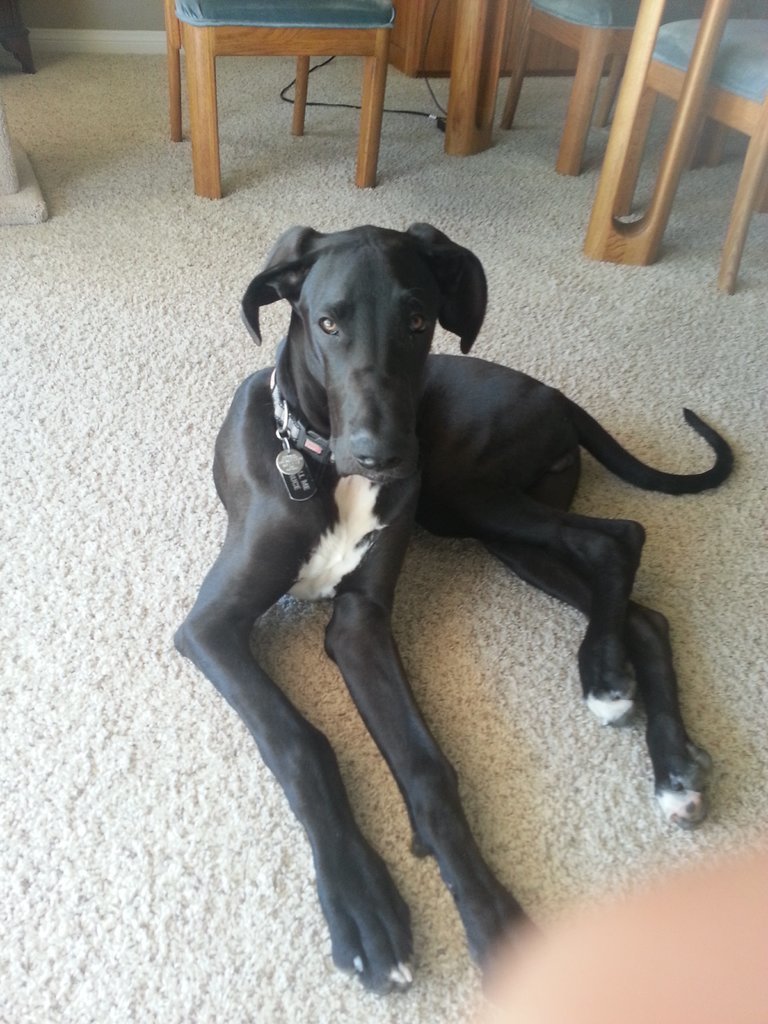 20130618_133957.jpg