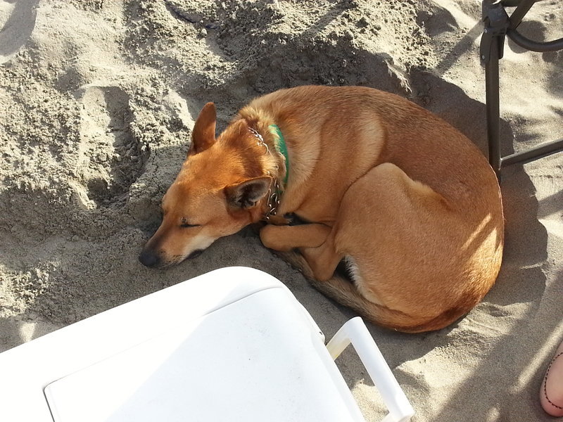 20130704_185240.jpg