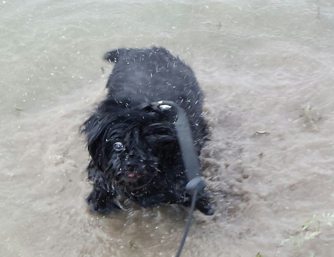 20130720_163221-1.jpg