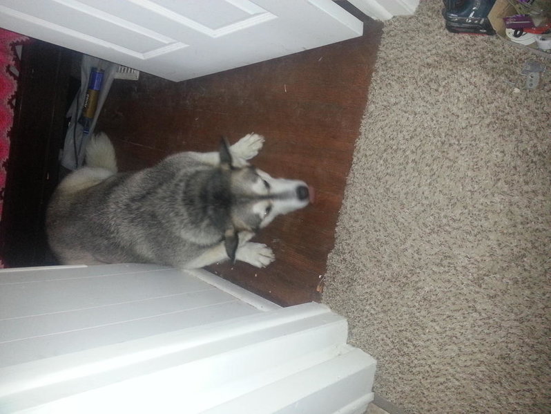 20130803_113117.jpg