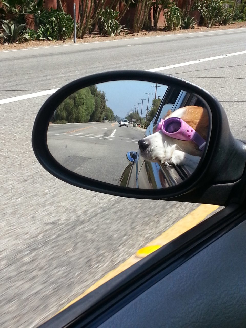 20130813_113604.jpg