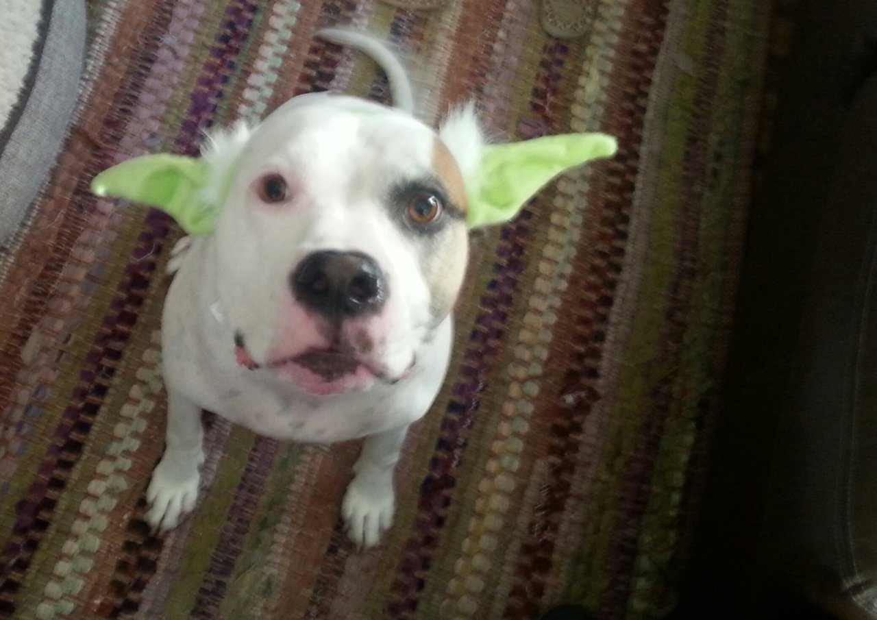 20130906_172013-1.jpg