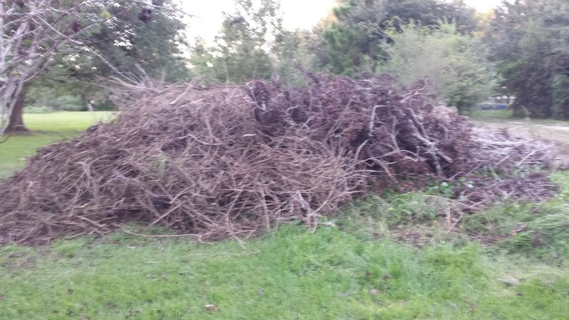 20131009_184951.jpg