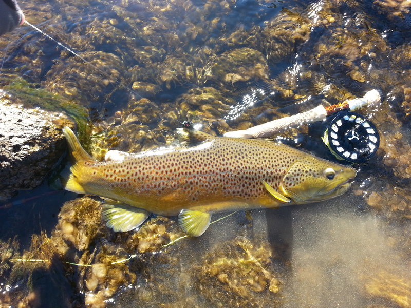 20131102_141345.jpg