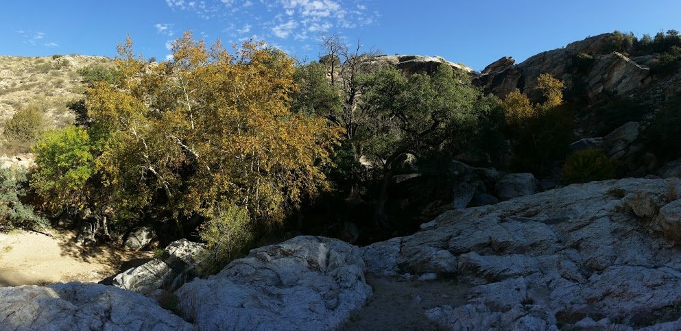 20131102_150552_009fa835848075284e42b8250368c1c360c282cf.jpg