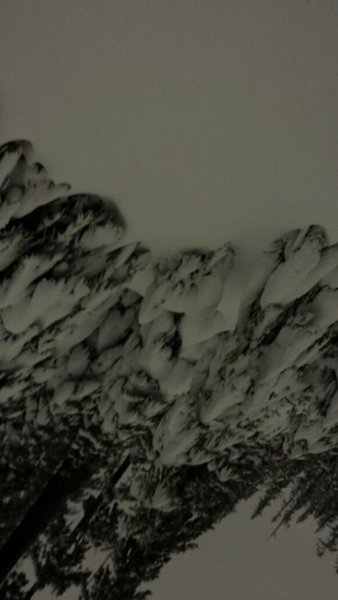 20131116_143058_resized.jpg
