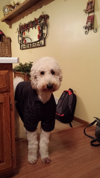 20131117_180733.jpg