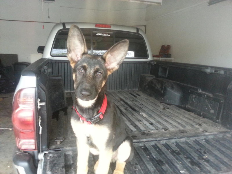 20131123_083458.jpg