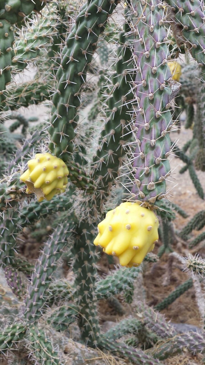 20131123_095428.jpg