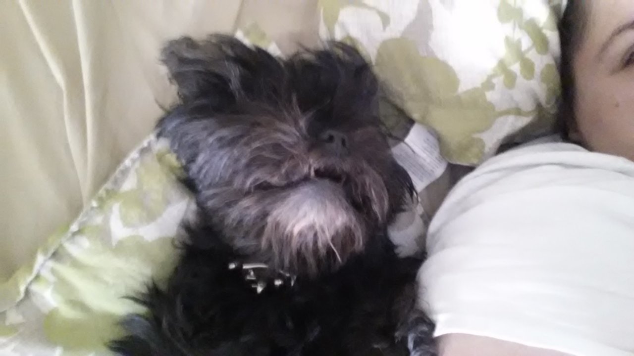 20131124_111732.jpg