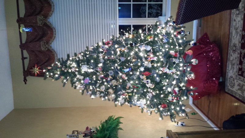 20131208_175336.jpg