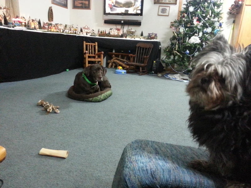 20131221_011826_Android.jpg
