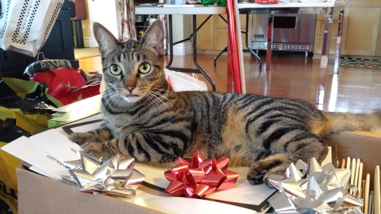 20131222_152551.jpg