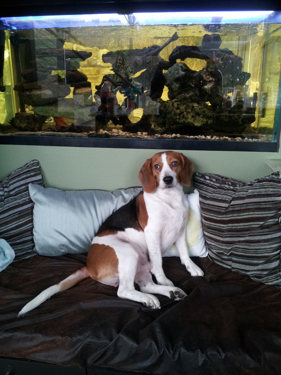 20131228_151249.jpg