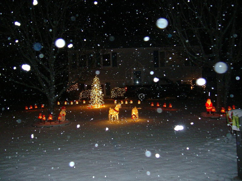 2013_12150003.jpg