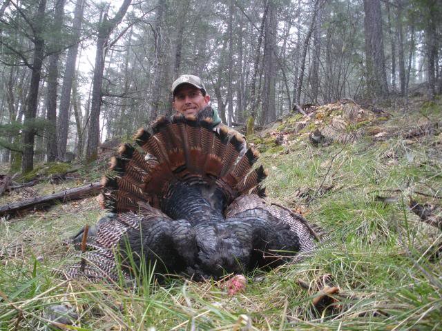 2013Dad2ndBird006_zpsefed33c4_65b08e64c256707dae9d4d021daf0dec8a2cb49b.jpg
