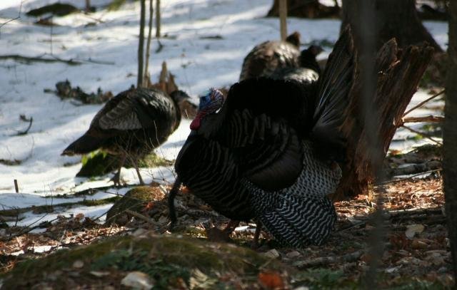 2013TurkeyTour2_7f02d17f8ca75c99965949fe4bcf9ffb26d31ff5.jpg