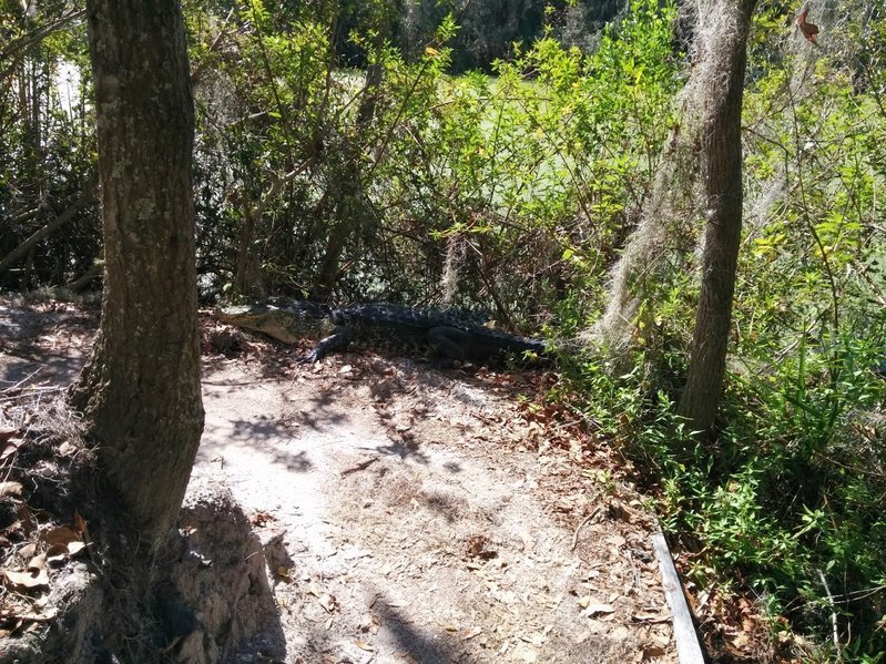 2014-02-19.jpg