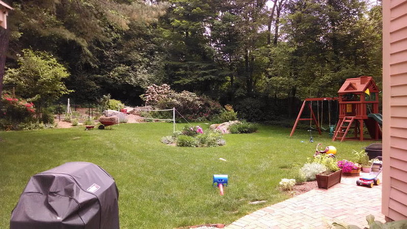 2014-06-11 13.03.39_resize.jpg