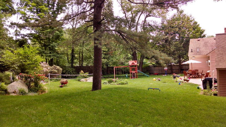 2014-06-11 13.04.10_resize.jpg