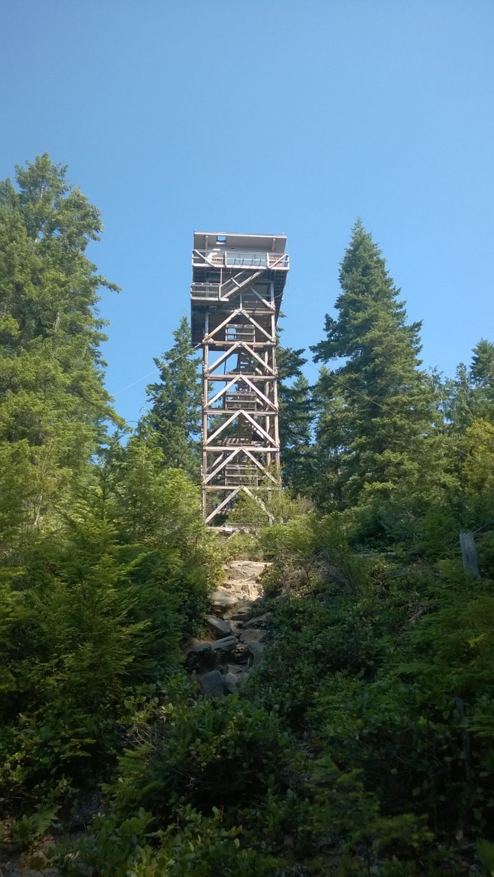2014-08-03-112041 12 heybrook lookout.jpg