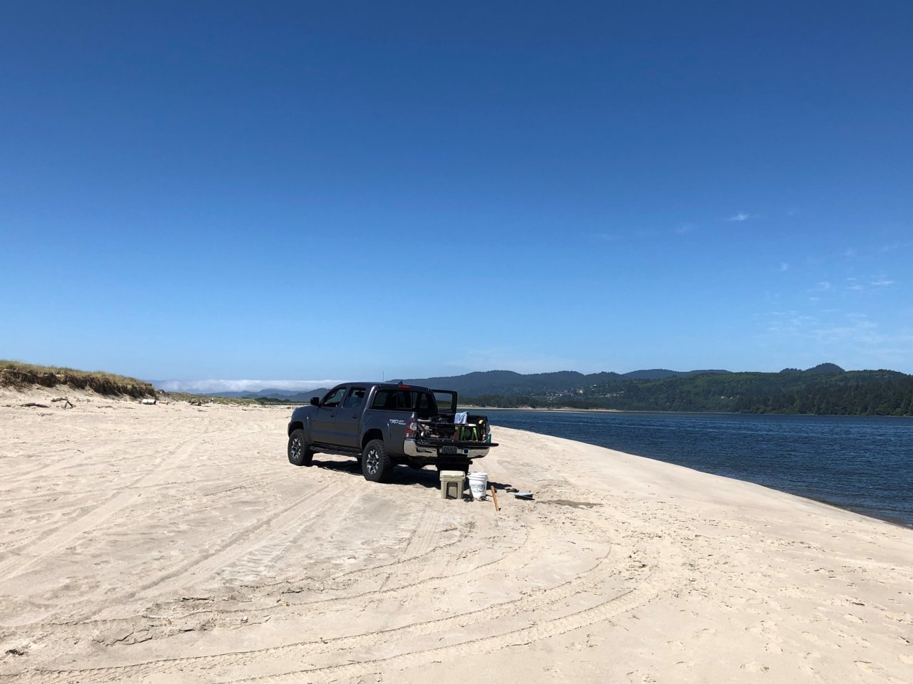 2014 Surf Perch.jpg