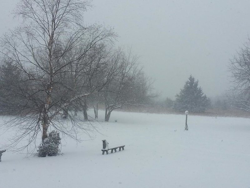 20140204_135113_resized.jpg