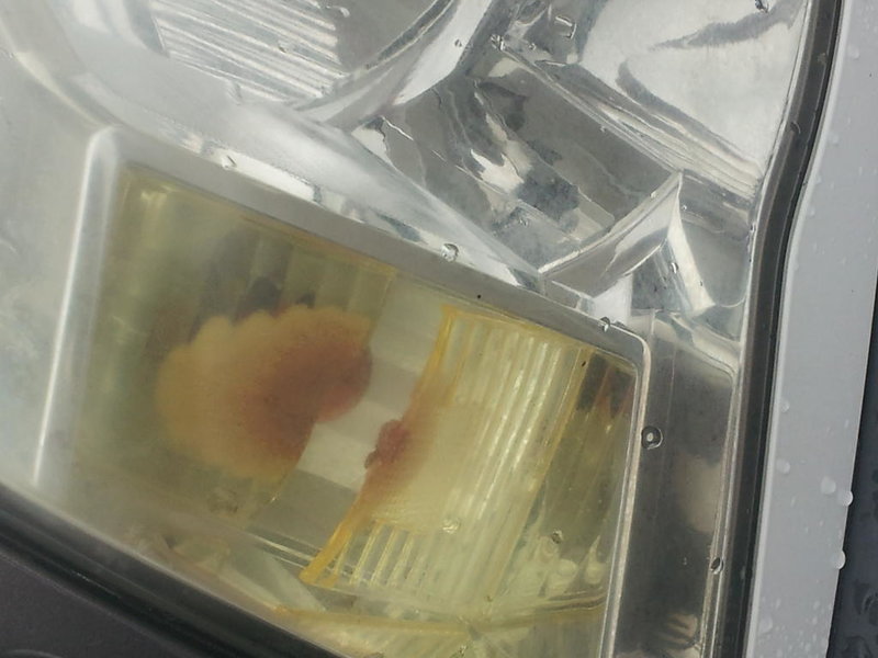 20140213_093430.jpg