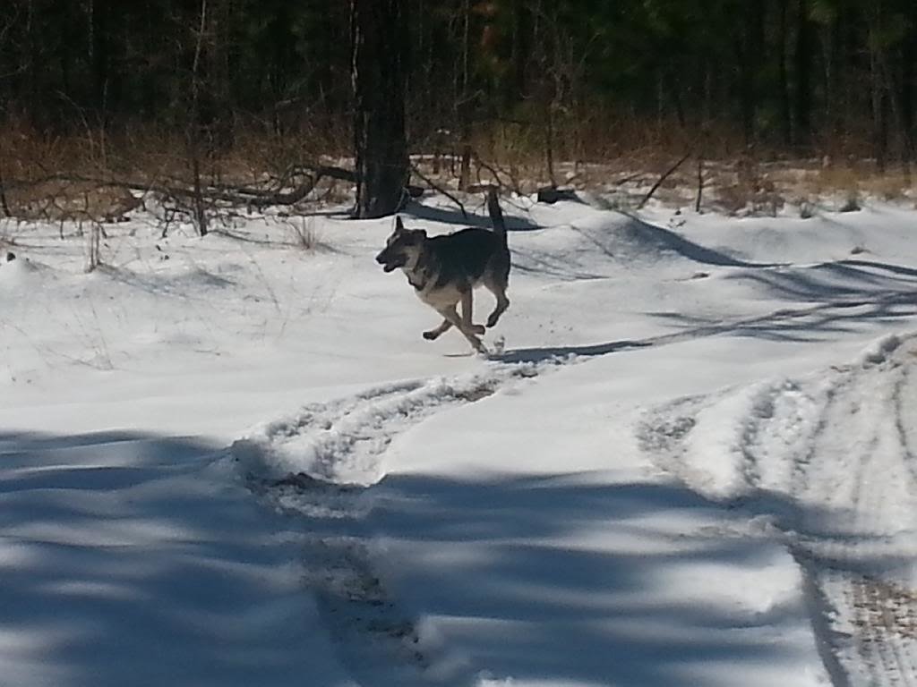 20140214_114213_zpsedjx1q48_abfec90f88983530c09554cad11d94b365b33299.jpg