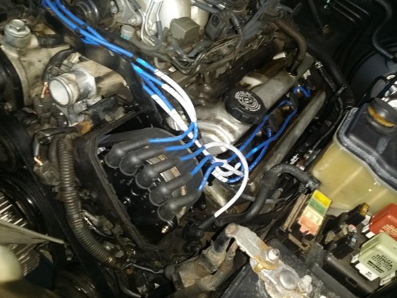 20140224_134027_zpsrsfk4vbq.jpg