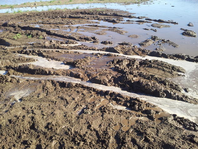 20140308_162621.jpg