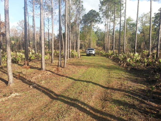 20140323_180445.jpg