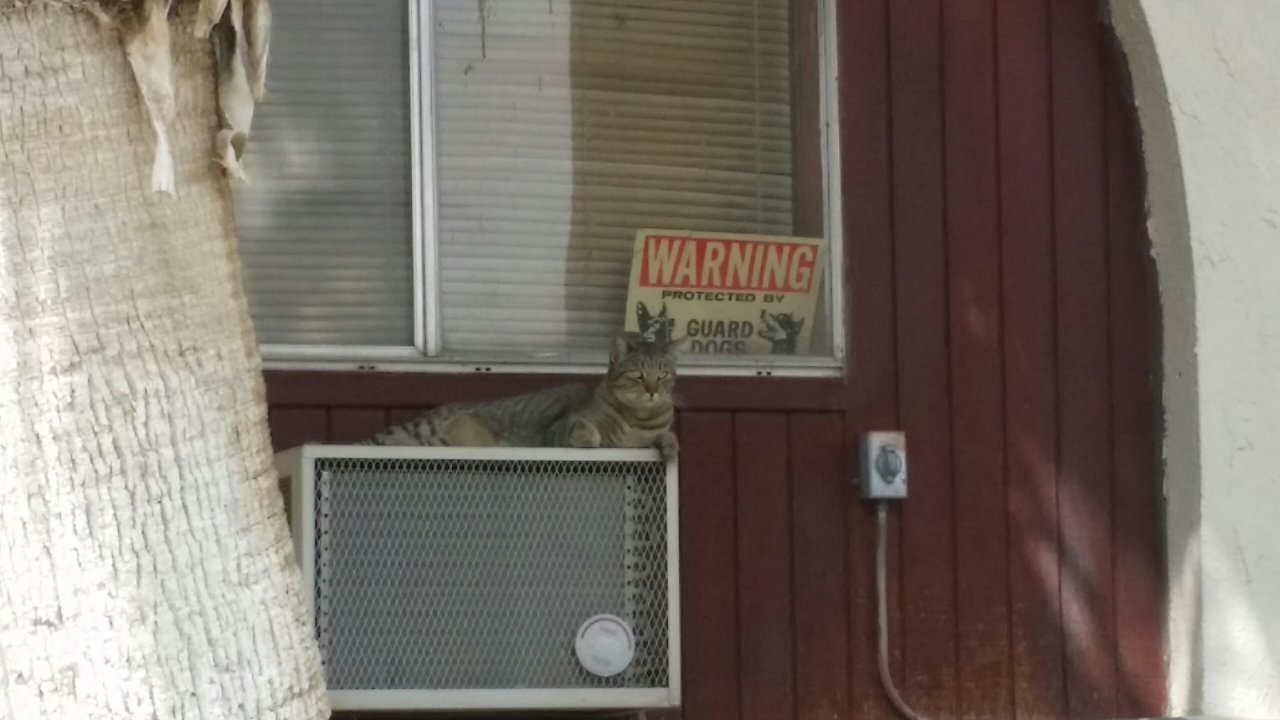 20140328_143743.jpg