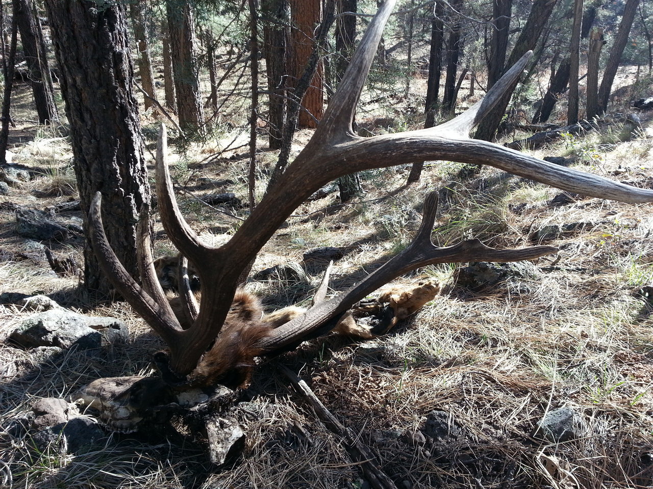 20140401_155939.jpg