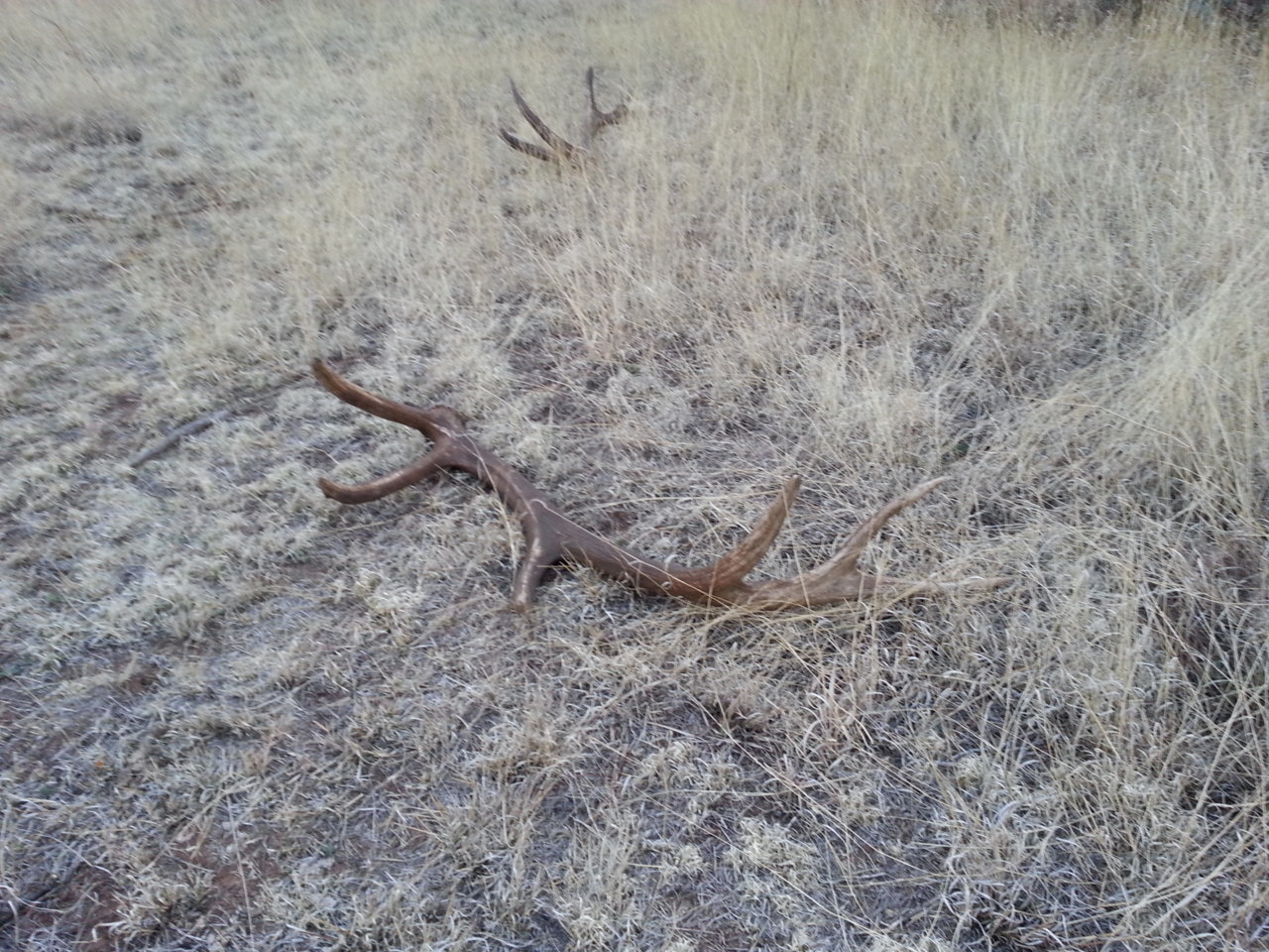 20140405_062037.jpg