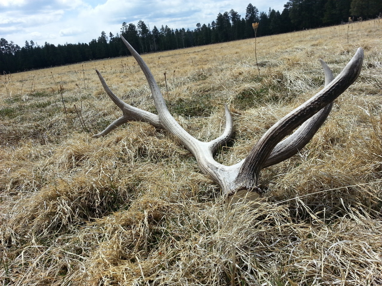 20140405_125424.jpg