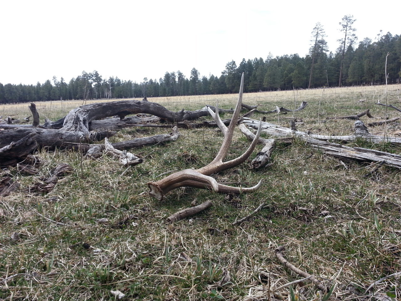 20140405_125840.jpg